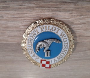 Zasłużony Pilot Wojskowy II stopnia