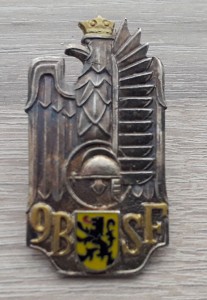 9 Batalion Strzelców Flandryjskich