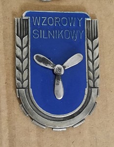 Wzorowy Silnikowy - duża wersja