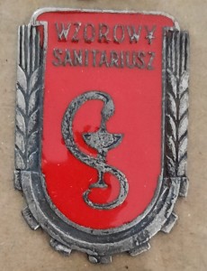 Wzorowy Sanitariusz - mała wersja