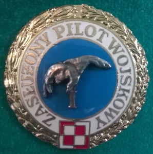 Zasłużony Pilot Wojskowy I stopnia