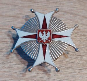 22 Pułk Ułanów Podkarpackich Brody (srebrna)