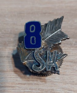  8 Pułk Strzelców Konnych Chełmno