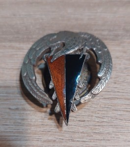 9 Batalion Pancerny Lublin