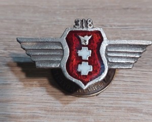  318 Dywizjon Myśliwsko-Rozpoznawczy Gdański