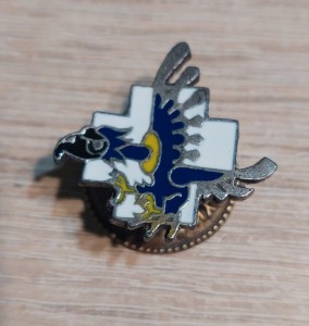 317 Dywizjon Myśliwski „Wileński”