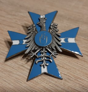 6 Pułk Ułanów Stanisławów