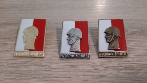 Wzorowy Żołnierz - komplet (złota,srebrna,brązowa)