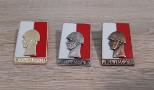 Wzorowy Marynarz -komplet (złota,srebrna,brązowa)