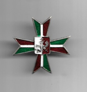4 Pułk Strzelców Konnych Ziemi Łęczyckiej Płock