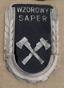 Wzorowy Saper - duża wersja