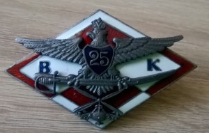 25 Brygada Kawalerii Powietrznej Tomaszów Maz.